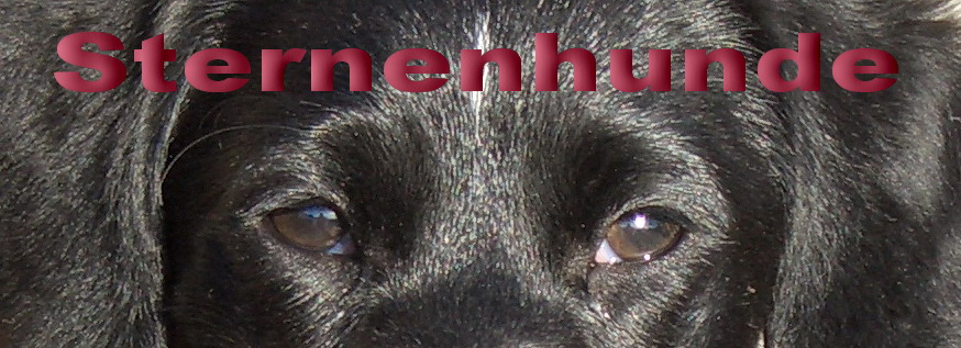 Sternenhunde