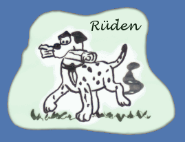 Rüde