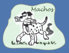 Macho