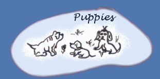 Puppies