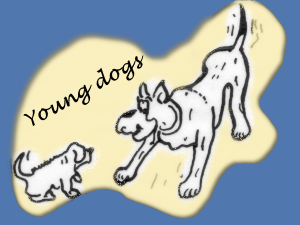 Young dogs